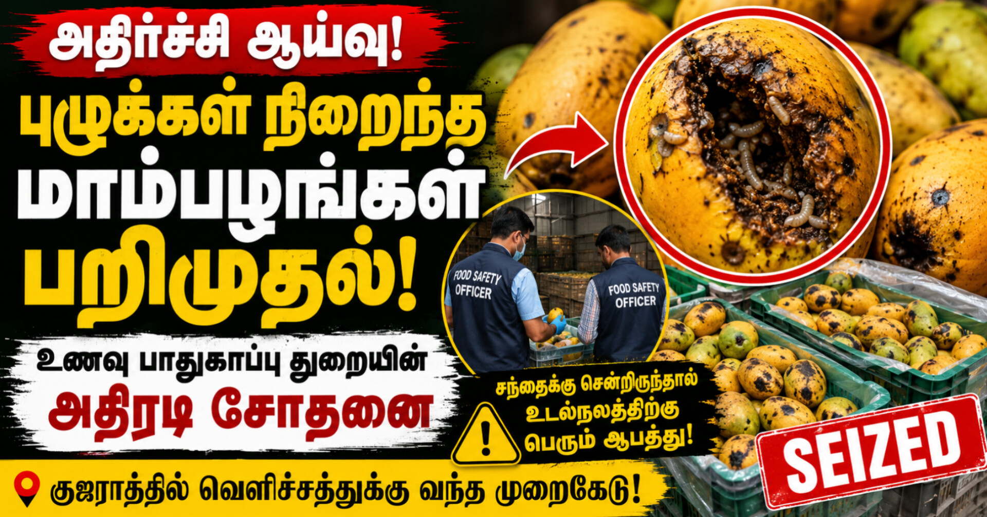 குஜராத்தில் புழுக்கள் நிறைந்த மாம்பழங்கள் பறிமுதல் – அதிர்ச்சி அடைந்த உணவு பாதுகாப்பு அதிகாரிகள்!